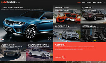 galleries-incorporation-into-your-website